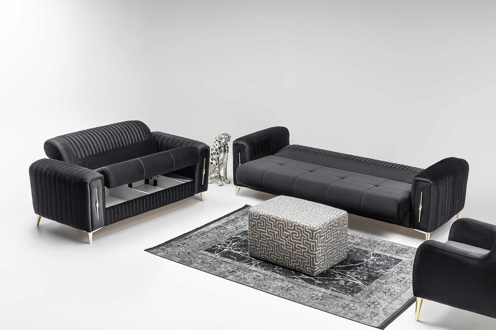 Karizma Overview- Side